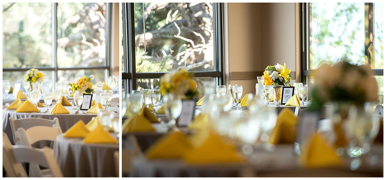 pines-at-genesee-wedding_0102