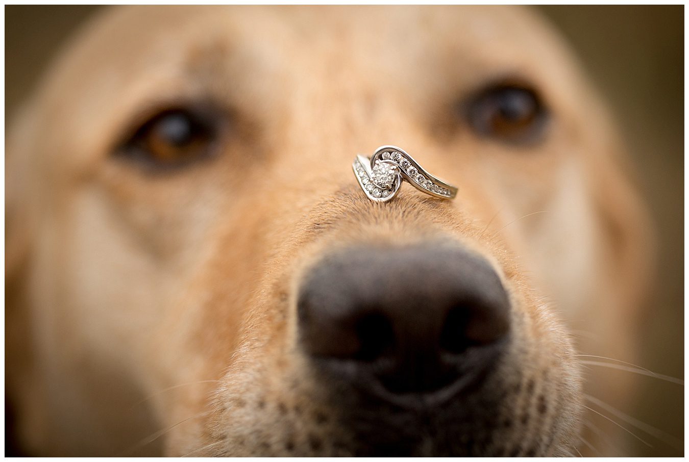 rocky-mountain-national-park-engagement_0016