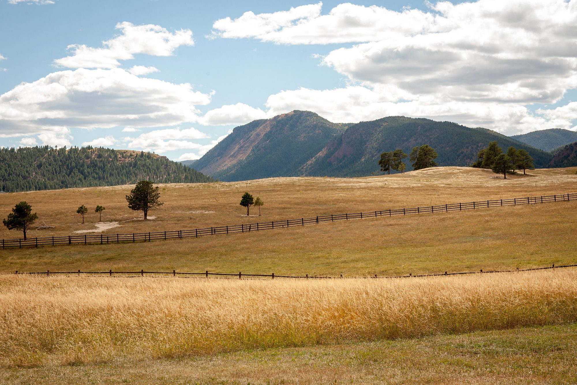 spruce-mountain-ranch-wedding-photographer_0019
